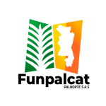 funpalcat
